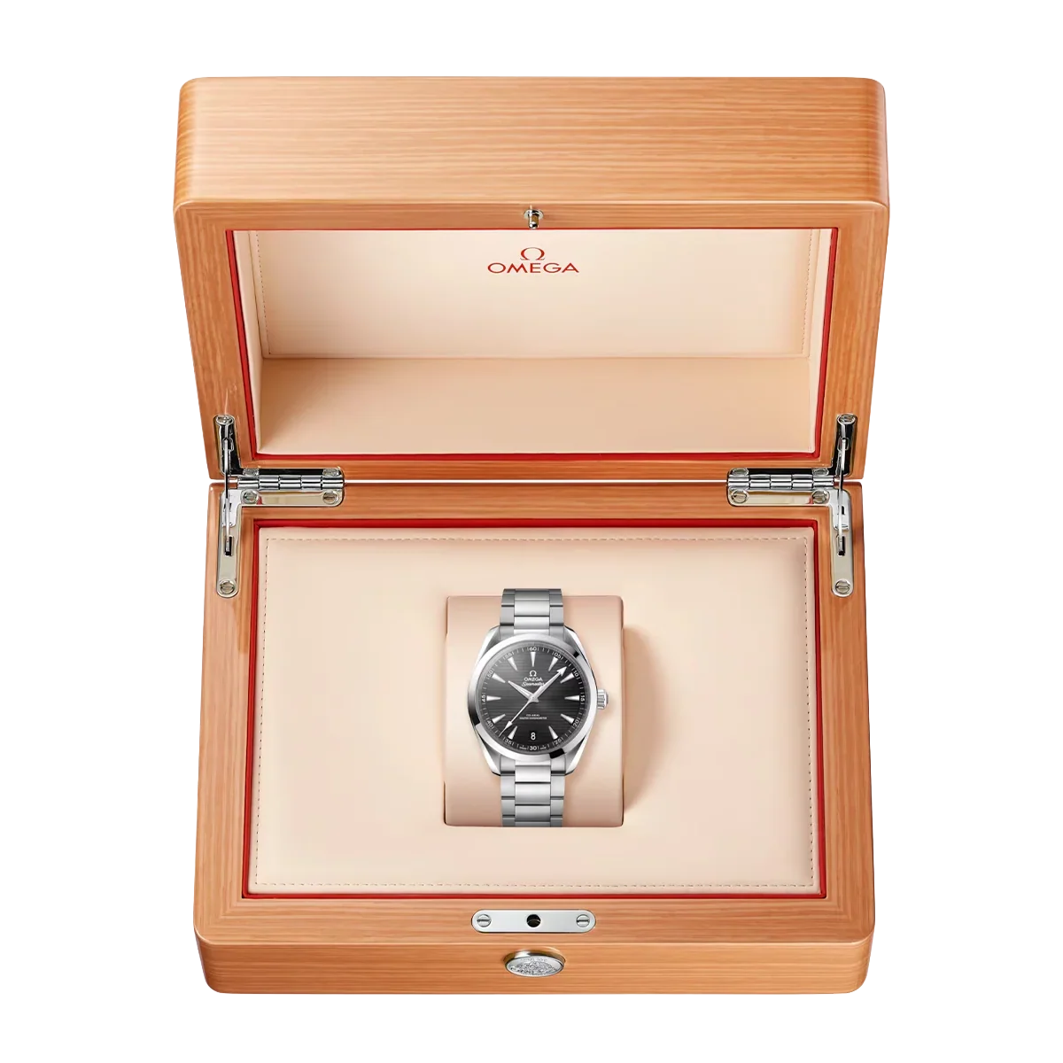 Seamaster Aqua Terra 41 mm Black Dial