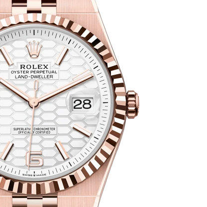 Land-Dweller 40mm Oyster Everose gold M127335-0001