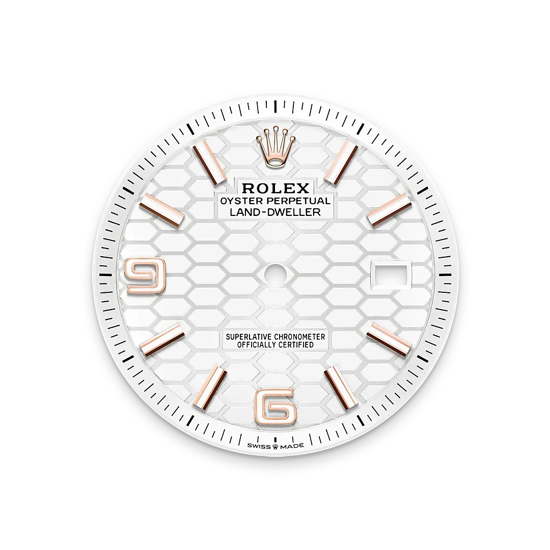Land-Dweller 40mm Oyster Everose gold M127335-0001